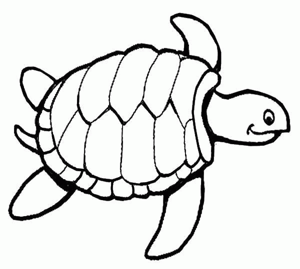 Название: Раскраска Счастливая морская черепаха.. Категория: . Теги: .