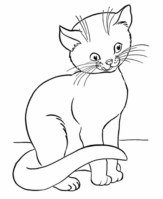 Название: Раскраска раскраска красивая домашняя кошка. Категория: . Теги: .