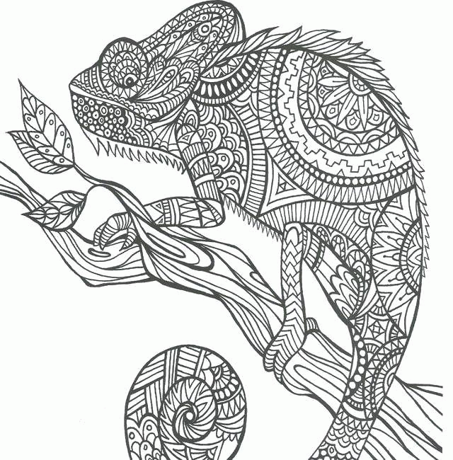Название: Раскраска Раскраска Узорный хамелеон на ветке Скачать ,Рептилия, хамелеон,.  Распечатать . Категория: . Теги: .