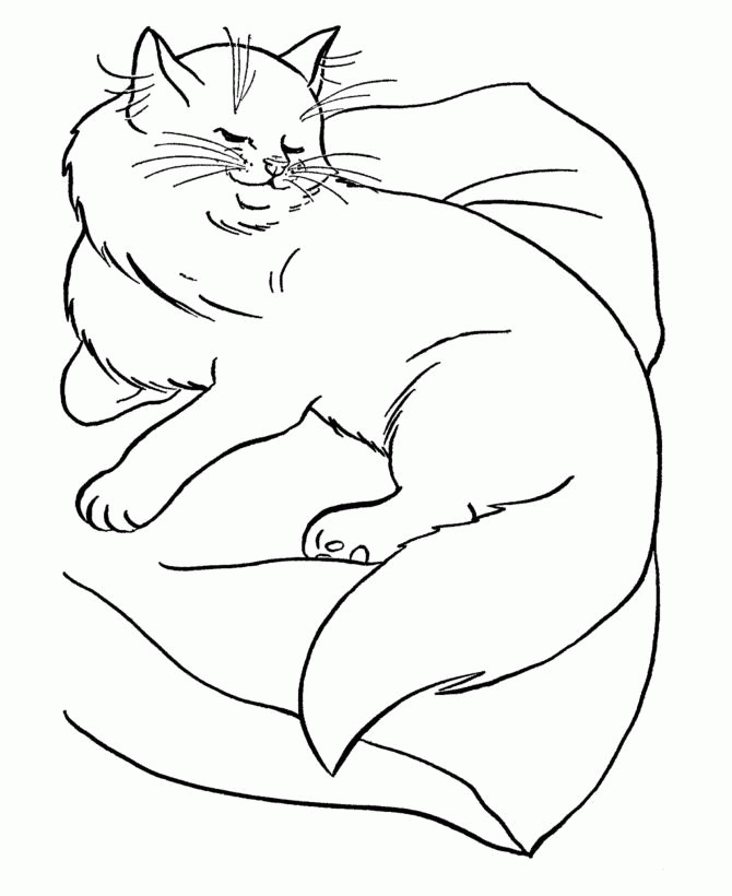 Название: Раскраска Довольная кошка на подушке. Категория: . Теги: .