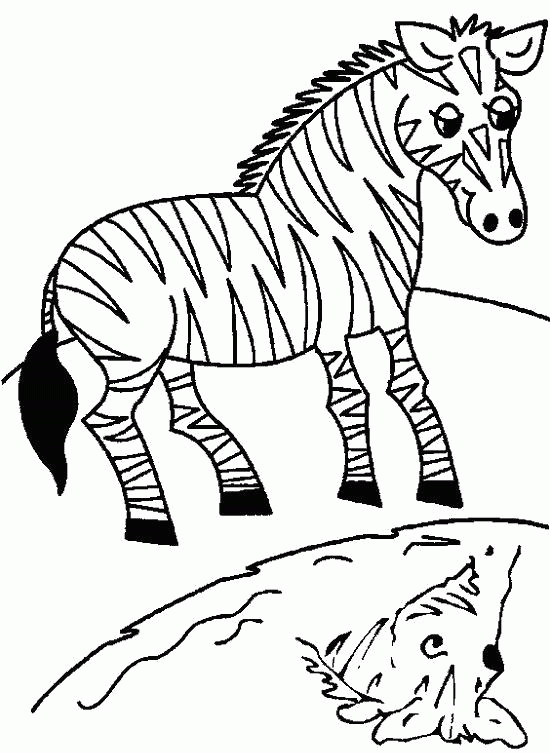 Название: Раскраска Раскраска  зебра зебра, вода, природа,  для детей. Скачать зебра.  Распечатать Дикие животные. Категория: . Теги: .