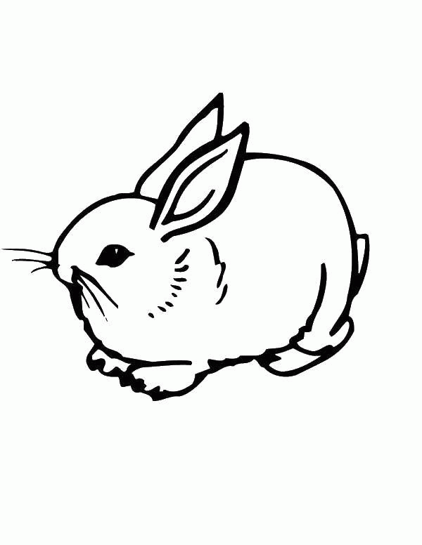 Название: Раскраска Название: Раскраска Зайка такой маленький. Категория: кролик. Теги: Животные, зайчик.. Категория: . Теги: .