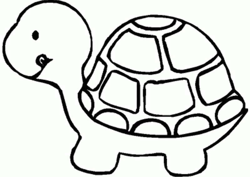 Название: Раскраска Раскраска Чьей характерной особенностью, млекопитающее -  черепаха.. Скачать Черепаха.  Распечатать Дикие животные. Категория: . Теги: .