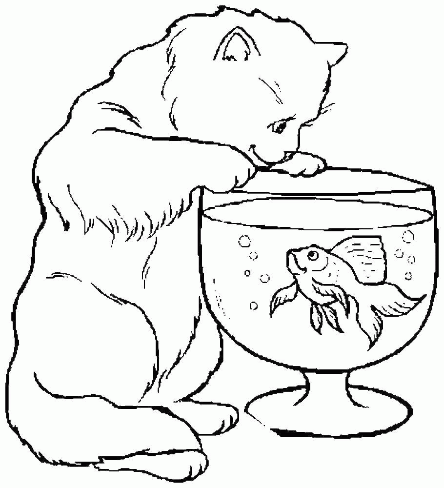 Название: Раскраска Кошка смотрит на рыбку. Категория: . Теги: .