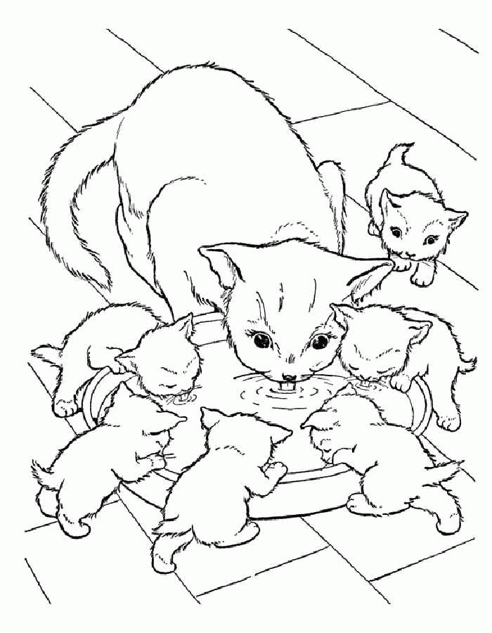 Название: Раскраска Детские раскраски для девочек и мальчиков, кошка с котятами пьют молоко. Категория: . Теги: .