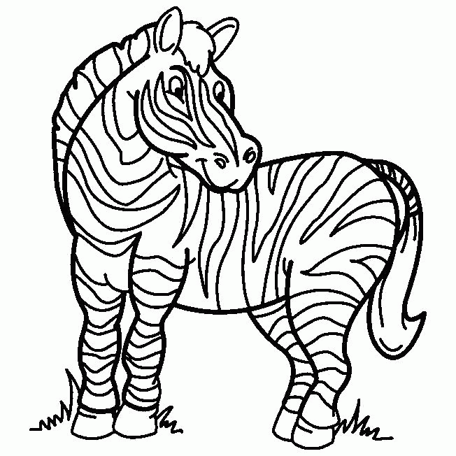Название: Раскраска Раскраска  зебра. Скачать зебра.  Распечатать Дикие животные. Категория: . Теги: .