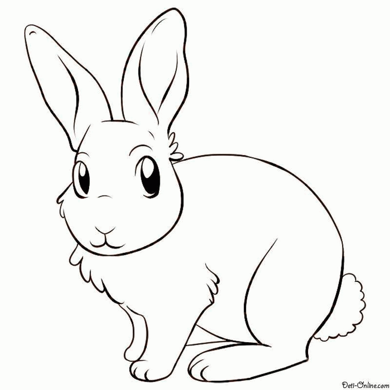 Название: Раскраска Название: Раскраска Рисунок зайчика. Категория: домашние животные. Теги: заяц, кролик.. Категория: . Теги: .