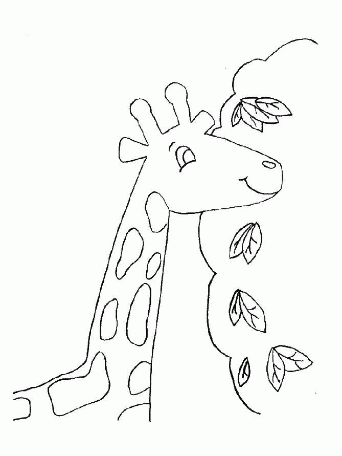 Название: Раскраска Жираф. Категория: . Теги: .