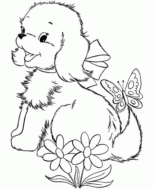Название: Раскраска Собака с бабочкой. Категория: . Теги: .