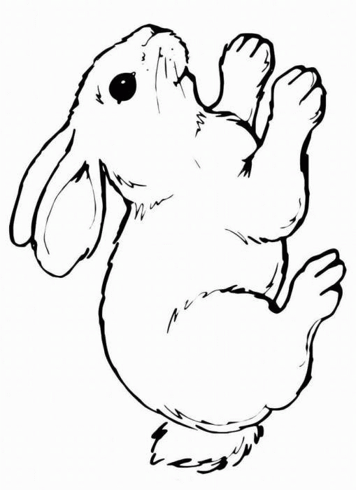 Название: Раскраска Название: Раскраска Рисунок зайчика. Категория: домашние животные. Теги: заяц, кролик.. Категория: . Теги: .