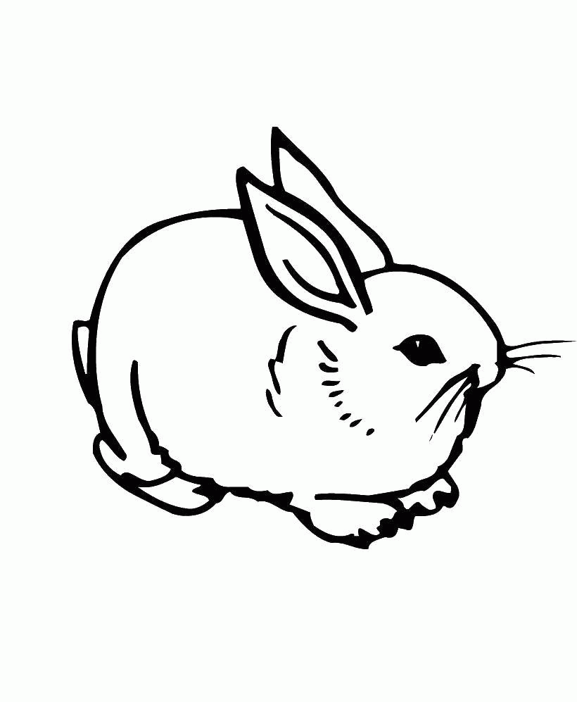 Название: Раскраска Название: Раскраска Кролик. Категория: кролик. Теги: Животные, зайчик.. Категория: . Теги: .