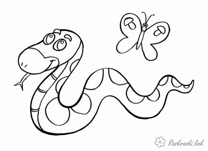 Название: Раскраска Раскраска змея и бабочка. Категория: . Теги: .