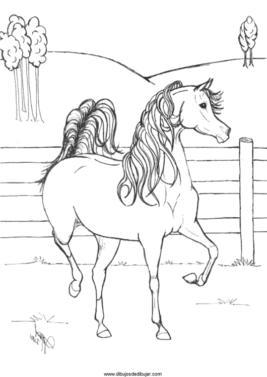 Название: Раскраска Раскраски горы раскраски красивая лошадь, забор, горы, природа. Категория: . Теги: .