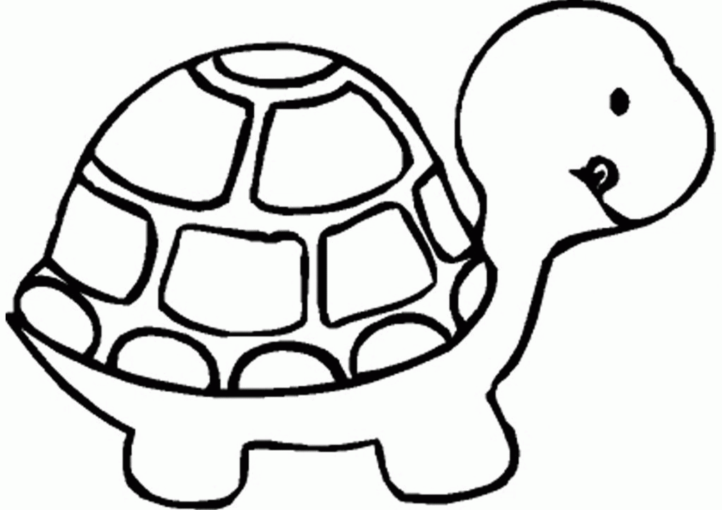 Название: Раскраска Раскраски черепаха раскраски рептилии, раскраски природа, раскраски малышам, черепаха. Категория: . Теги: .
