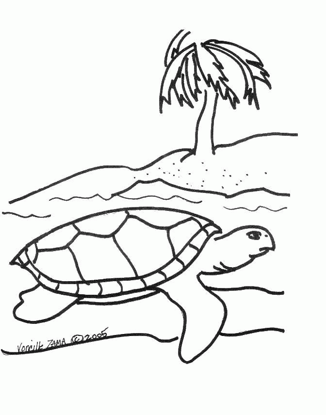 Название: Раскраска Черепаха около острова. Категория: . Теги: .