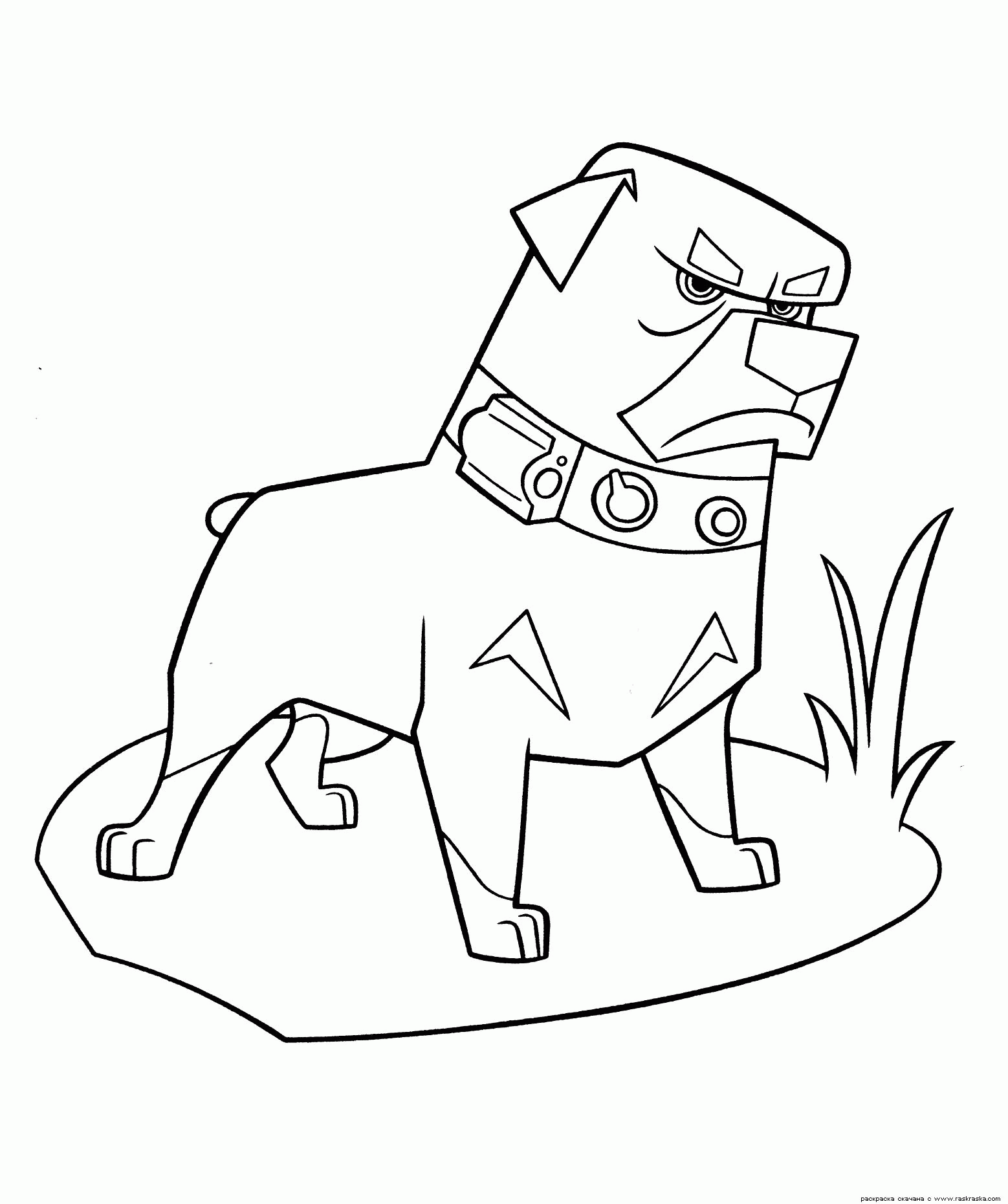 Название: Раскраска Собака с мощной мускулатурой, большая собака в ошейнике, лужайка. Категория: . Теги: .