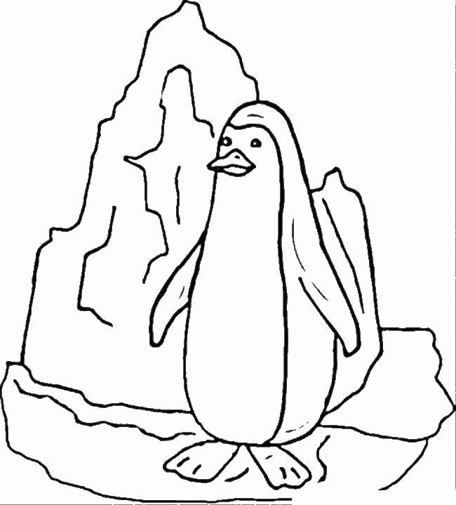 Название: Раскраска Пингвин на айсберге. Категория: . Теги: .