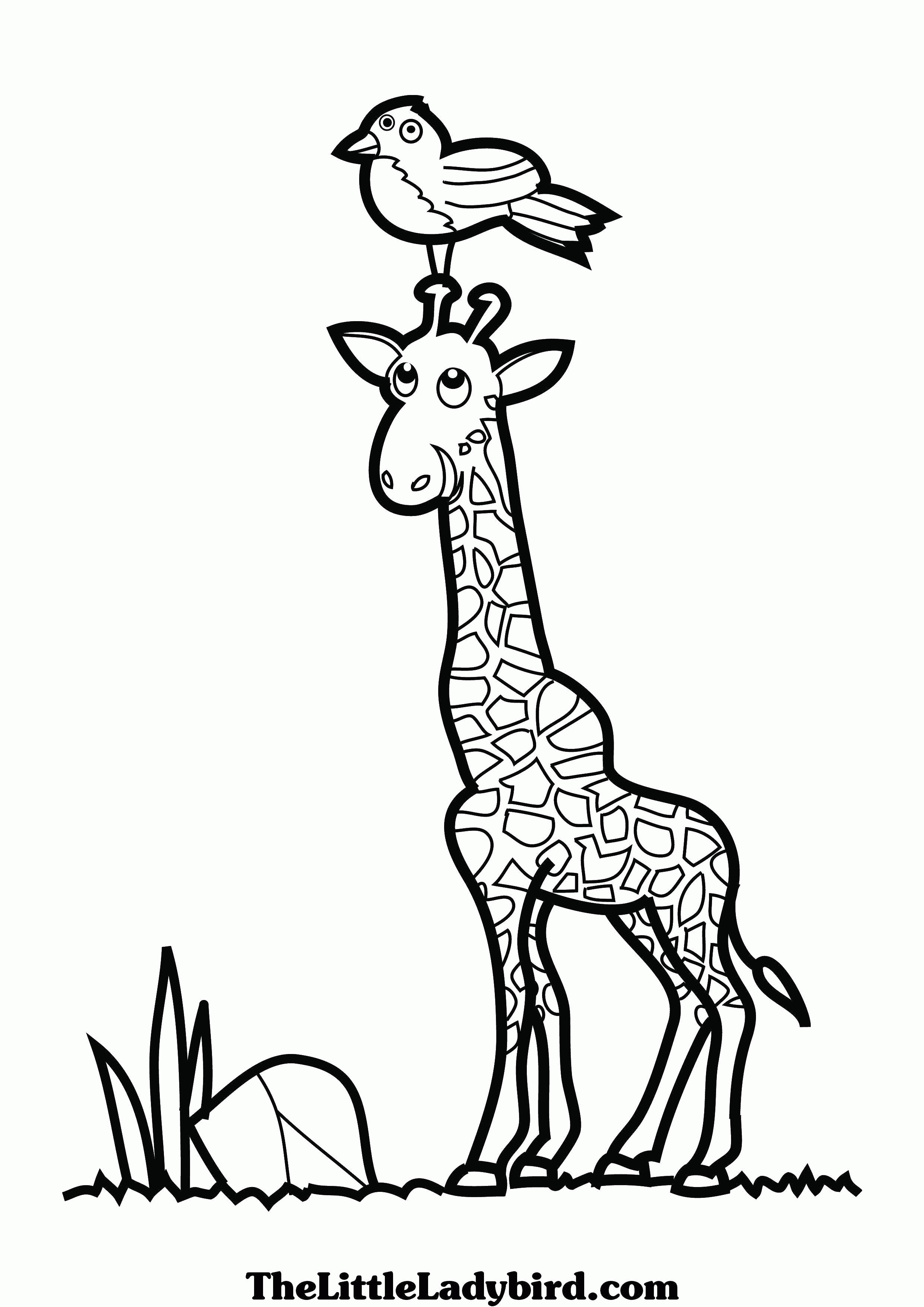 Название: Раскраска Птичка села на жирафика. Категория: . Теги: .