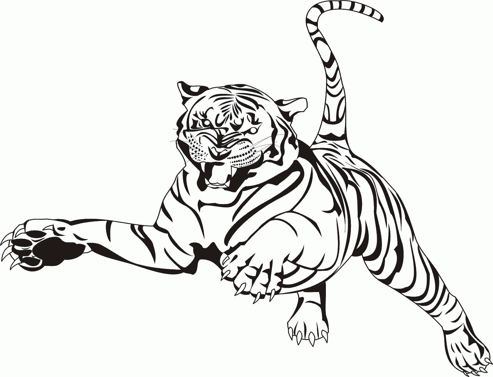 Название: Раскраска Тигр в прыжке. Категория: . Теги: .