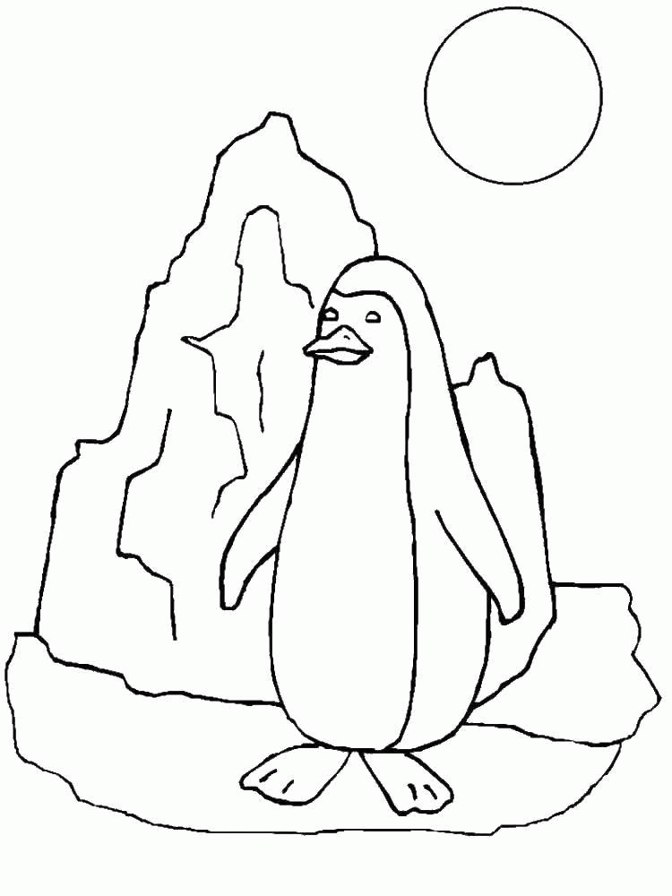 Название: Раскраска Пингвинчик. Категория: . Теги: .