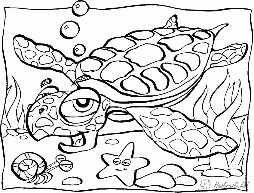 Название: Раскраска Раскраски подводный мир подводный мир, черепаха, морская звезда. Категория: . Теги: .