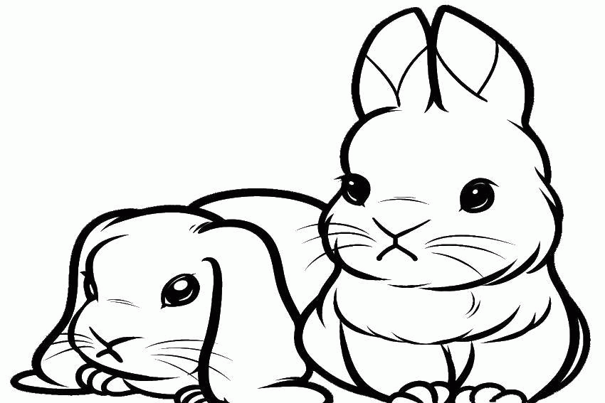 Название: Раскраска Два кролика. Категория: . Теги: .