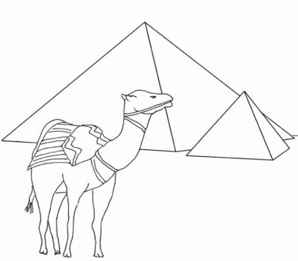 Название: Раскраска Верблюд возле пирамид. Категория: . Теги: .