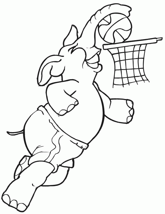 Название: Раскраска Раскраска  слоник играет в баскетбол. Скачать слон.  Распечатать Дикие животные. Категория: . Теги: .