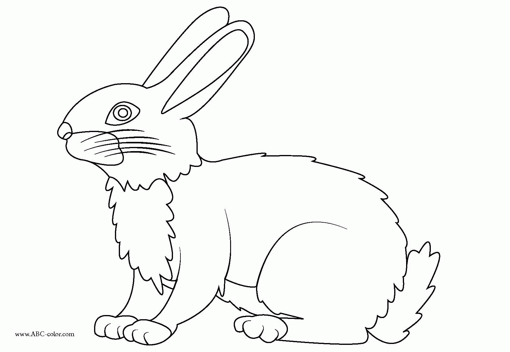 Название: Раскраска Название: Раскраска Рисунок зайца. Категория: домашние животные. Теги: заяц, кролик.. Категория: . Теги: .