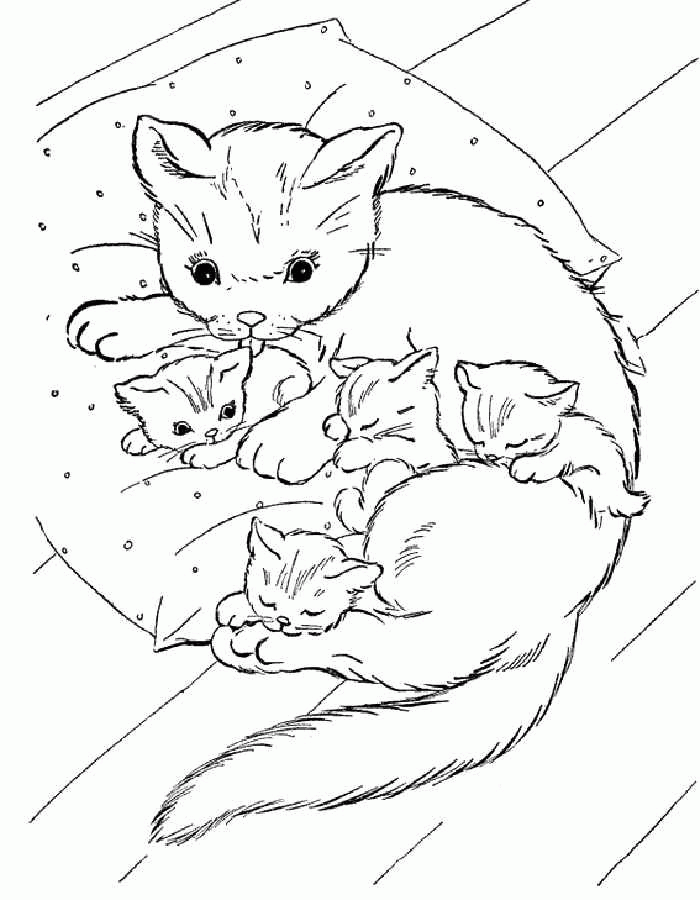 Название: Раскраска Детские раскраски для девочек и мальчиков, кошка с котятами спит на подушке. Категория: . Теги: .