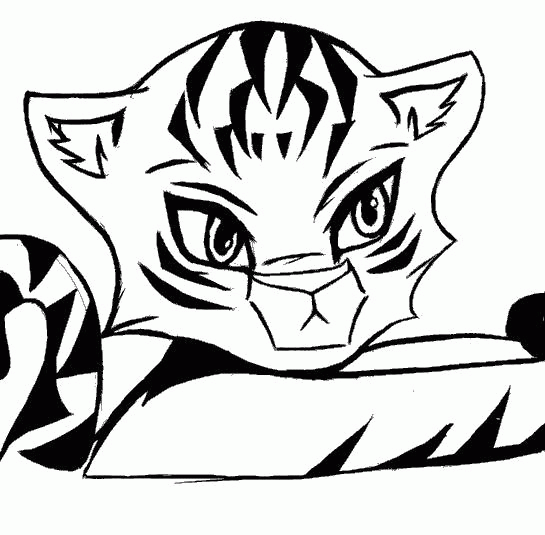 Название: Раскраска Раскраска Красивый тигренок. Скачать Тигр.  Распечатать Дикие животные. Категория: . Теги: .