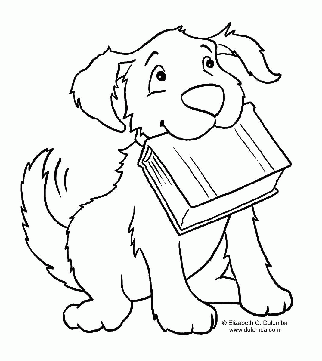 Название: Раскраска Собака с книгой. Категория: . Теги: .