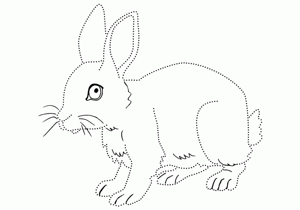 Название: Раскраска Раскраска  кролик для детей. Заяц обведи по точкам.. Скачать Заяц.  Распечатать Домашние животные. Категория: . Теги: .