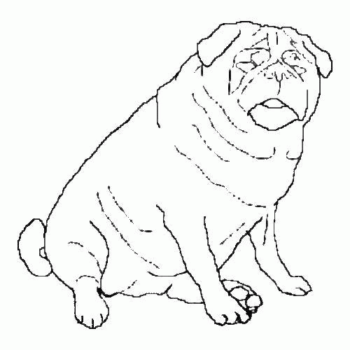 Название: Раскраска Раскраска Просто толстая собака Скачать ,собака,.  Распечатать . Категория: . Теги: .