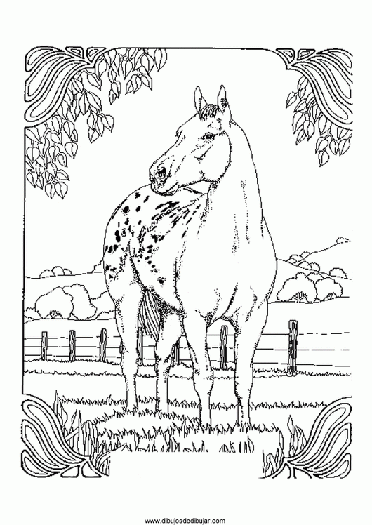 Название: Раскраска Раскраски лошади раскраска пятнистая лошадь, деревья, забор. Категория: . Теги: .