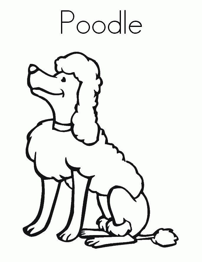 Название: Раскраска Пудель собака. Категория: . Теги: .