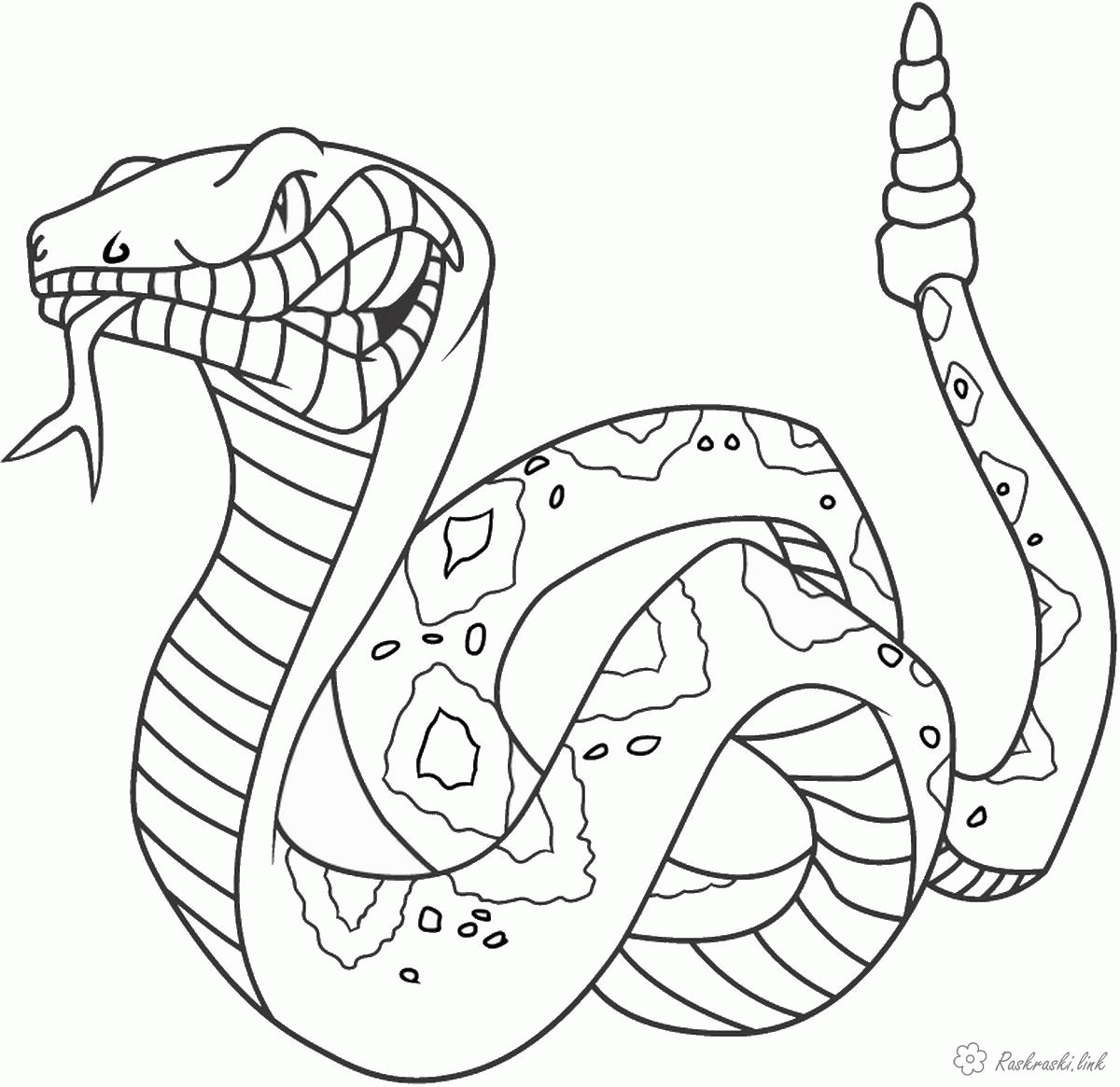 Название: Раскраска большая злющая змея. Категория: . Теги: .