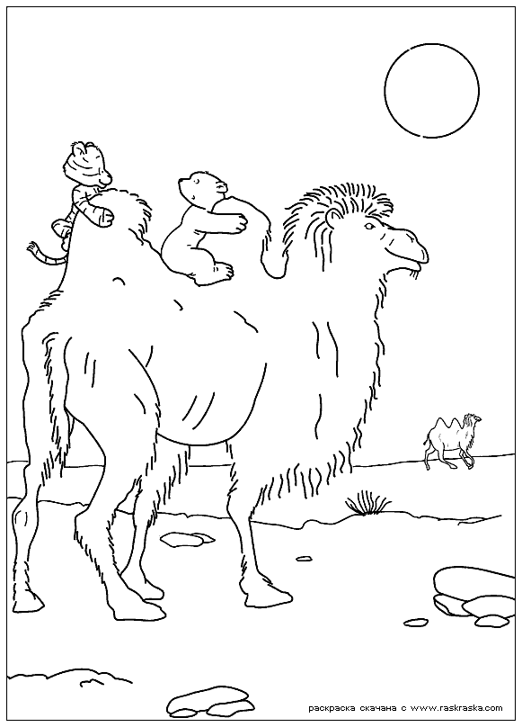 Название: Раскраска Раскраска На верблюде. Раскраска Приключения полярного медвежонка Ларса, картинки для детей из мультфильма. Категория: . Теги: .
