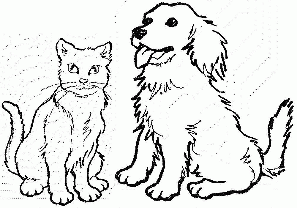 Название: Раскраска Кошка и собака. Категория: . Теги: .