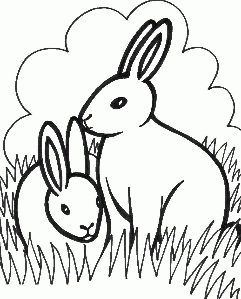 Название: Раскраска Два кролика в траве. Категория: . Теги: .