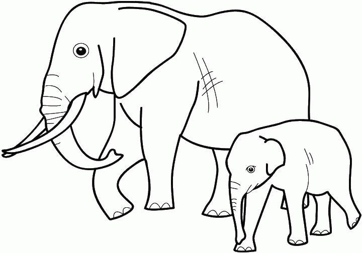 Название: Раскраска Название: Раскраска Слон и слоненок. Категория: Дикие животные. Теги: слон, рога, хобот, слоненок.. Категория: . Теги: .