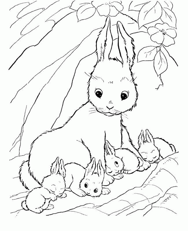 Название: Раскраска Кролик и детки. Категория: . Теги: .