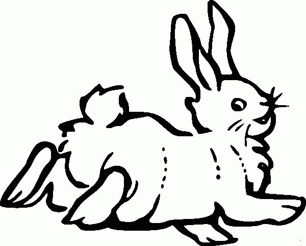 Название: Раскраска Раскраски счастливая счастливая заяц. Категория: . Теги: .