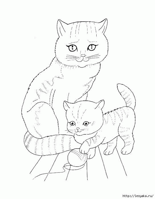 Название: Раскраска Кошка и котенок с клубком. Категория: . Теги: .