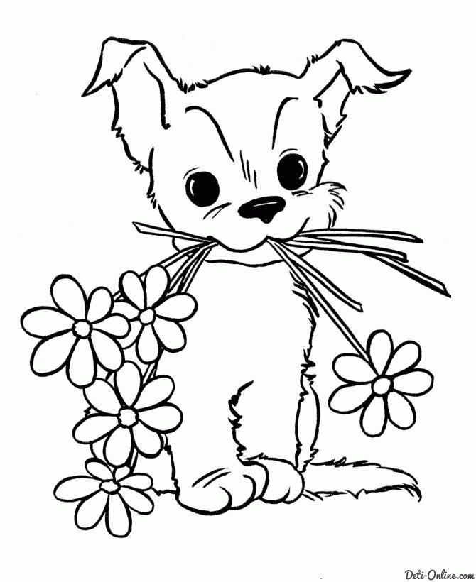 Название: Раскраска Название: Раскраска Рисунок щенок с цветком. Категория: домашние животные. Теги: собака.. Категория: . Теги: .