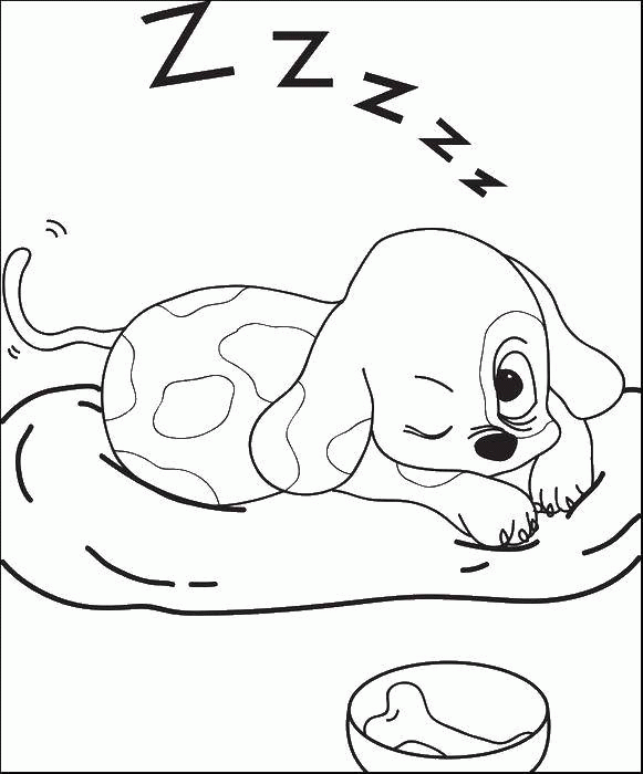 Название: Раскраска Собака на подушке и миска. Категория: . Теги: .