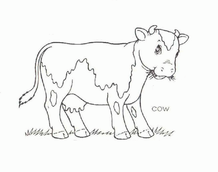 Название: Раскраска Рисунок корова на лугу. Категория: . Теги: .