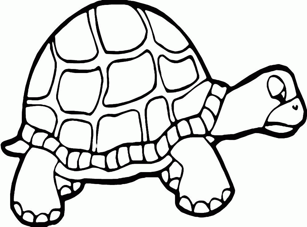 Название: Раскраска Раскраски подводный мир природа подводный мир черепаха. Категория: . Теги: .