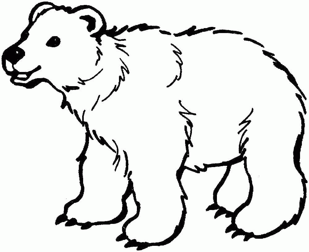 Название: Раскраска Белый медведь. Категория: . Теги: .