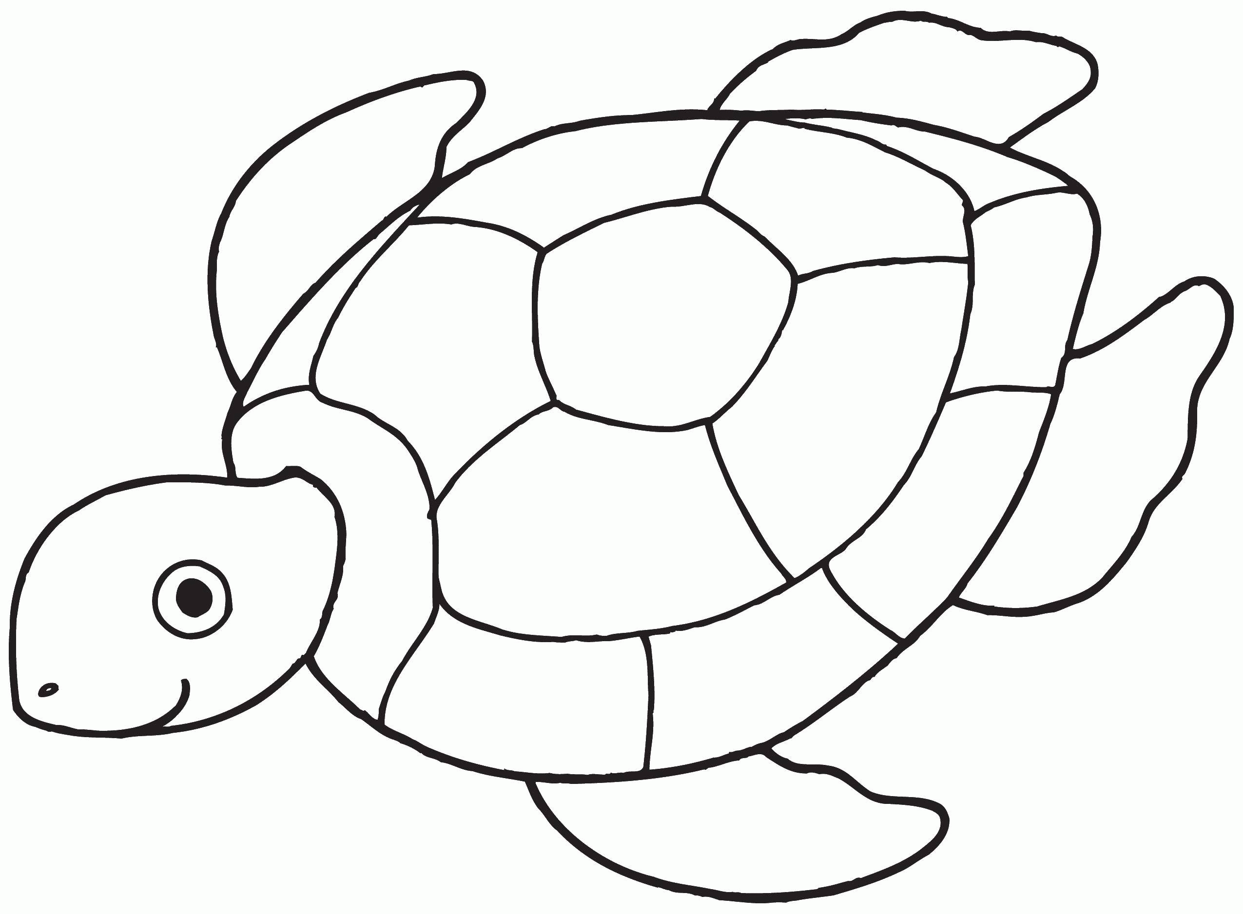 Название: Раскраска Плавающая черепаха. Категория: . Теги: .